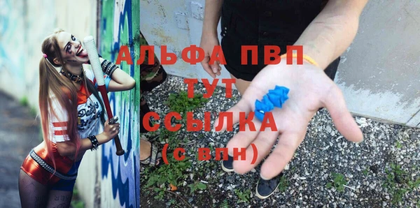 СК Алексин