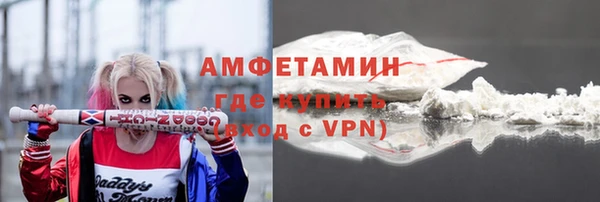 СК Алексин