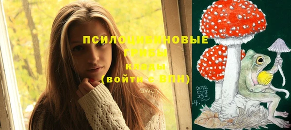 дживик Алексеевка