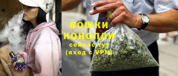 дмт Пестово