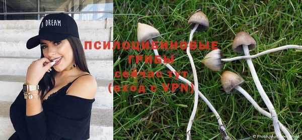 дживик Алексеевка