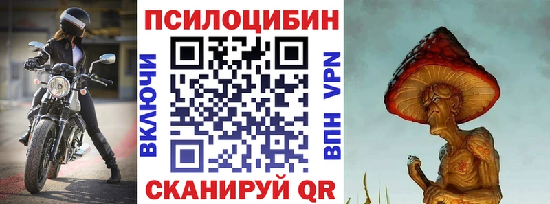 Псилоцибиновые грибы Psilocybine cubensis Ленинск-Кузнецкий