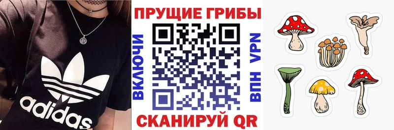 Галлюциногенные грибы прущие грибы  Ленинск-Кузнецкий 