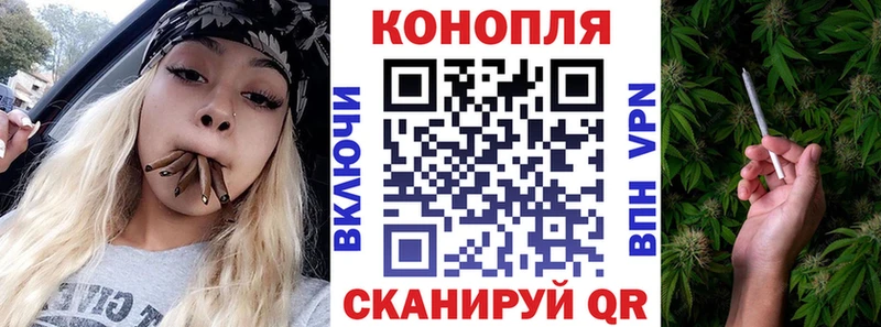 цены   Ленинск-Кузнецкий  Конопля OG Kush 